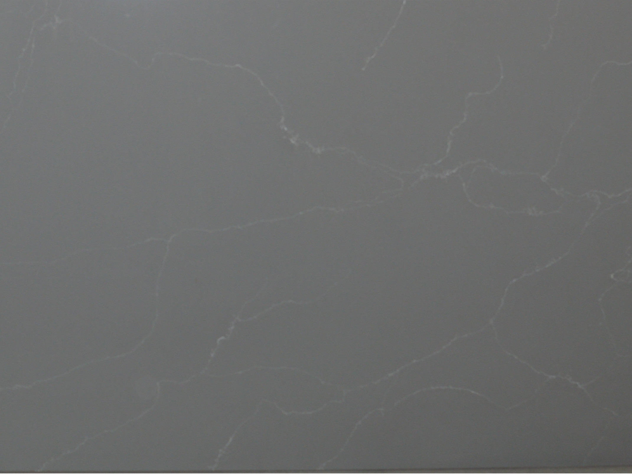 Quartz Stone M116 Caesar Grey - Image 1